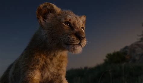 Download Simba Movie The Lion King (2019) HD Wallpaper