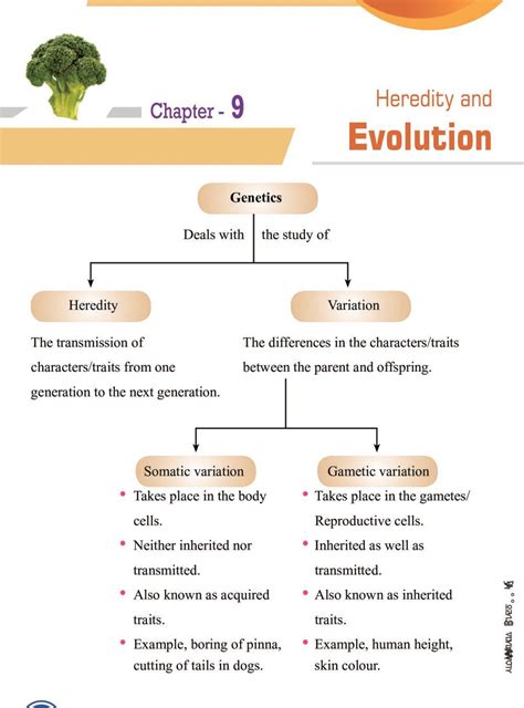 Class 10 Science Heredity and Evolution Notes – All Important Notes
