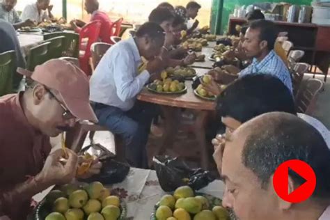 Mango | mango eating contest in bihar, video goes viral dgtl - Anandabazar