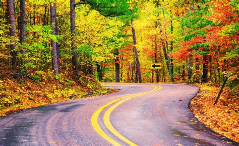 Curvy Roads Dangers | Law Offices of George T. Bochanis