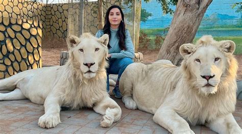 Nora Fatehi visits a private zoo in Dubai, poses with lions: ‘I thought I would be scared ...