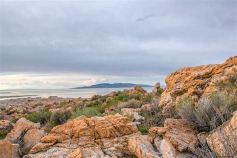 ANTELOPE ISLAND WILDLIFE SAFARI — Sightseeing Bus Tours in Salt Lake City