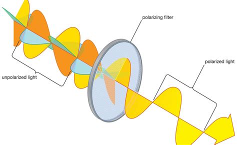 12 Mind-Blowing Facts About Polarization - Facts.net