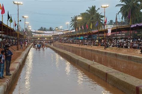 Photo Feature: Buffalo race in Puttur, Karnataka - The American Bazaar