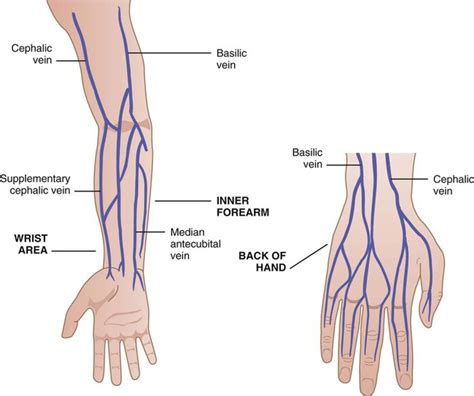 Phlebotomy | Nurse Key