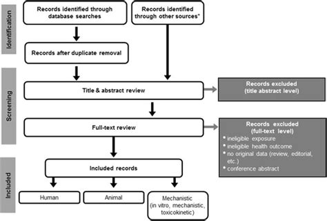 Example study flow diagram | Download Scientific Diagram