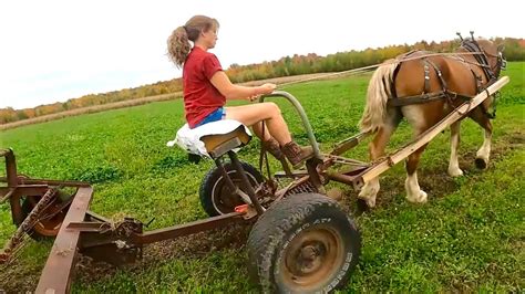 DRAFT HORSE FARMING: Lady and Brenda Ted Third Cut Hay & An Update on ...