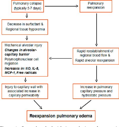 Figure 1 from Reexpansion pulmonary edema | Semantic Scholar