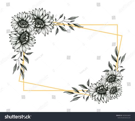 Sunflower Festive Golden Frame Black White Stock Illustration ...