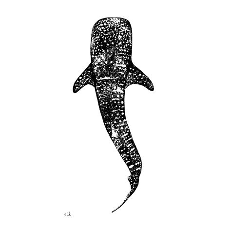 Whale Shark Print (B&W) | Fine Art Print – Elk Draws