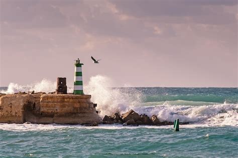 200+ Yafo Pictures