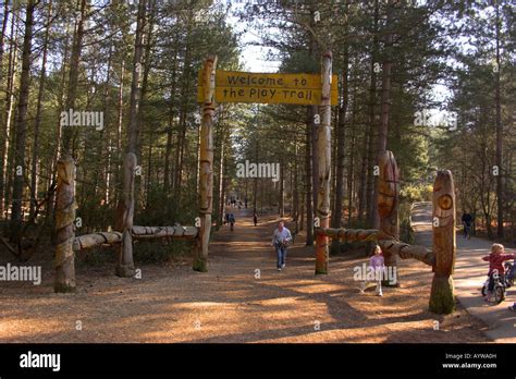 Moors Valley Country Park & Forest Stock Photo - Alamy