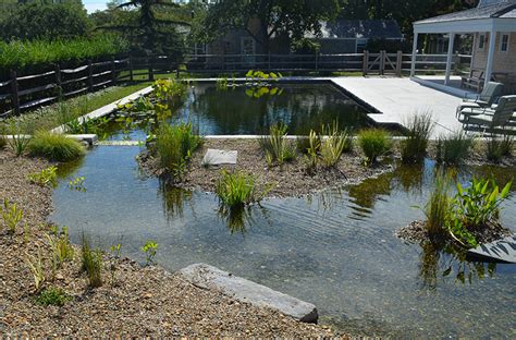 Design Q+A: Natural swimming pools - The Martha's Vineyard Times