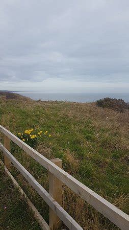 Crimdon Dene Beach (Hartlepool) - 2020 All You Need to Know Before You Go (with Photos ...