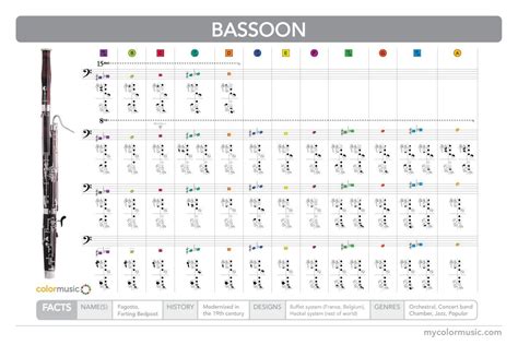 How to play the bassoon in ColorMusic. | Bassoon, Bassoon music, Music theory