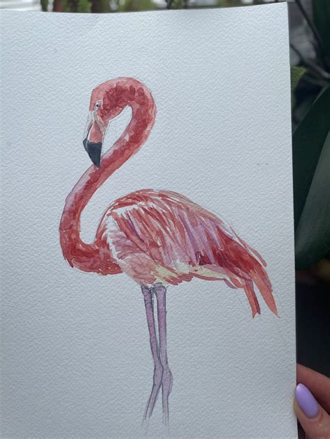 Pink Flamingo Original Watercolor Painting Illustration Gift - Etsy