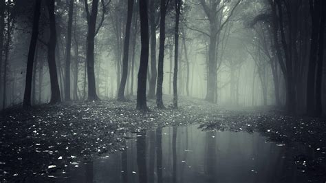 Creepy Forest Wallpapers - Top Free Creepy Forest Backgrounds ...