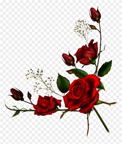 Rose Vine Borders - Roses Corner Border Png - Free Transparent PNG Clipart Images Download