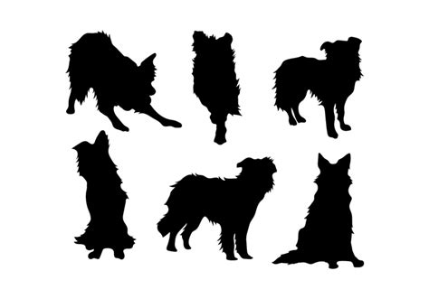 Image result for border collie silhouette | Dog drawing tutorial, Border collie, Dog drawing