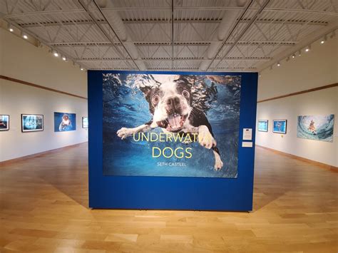 2019 Exhibitions in Review — Minnesota Marine Art Museum