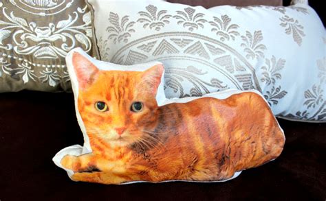 Custom Cat Pillow DIY Tutorial