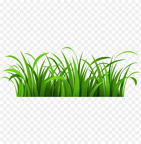 Rass Patch Png Clipart - Grass And Flowers Clipart PNG Transparent With ...