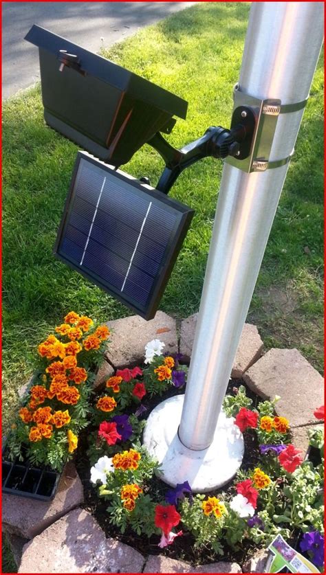 DIY Solar Electric | Flagpole lighting, Flag pole landscaping, Solar lights