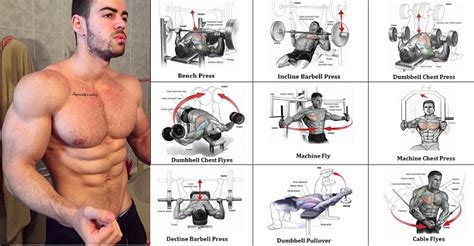 Best Bodybuilding Chest Workout You Should Know