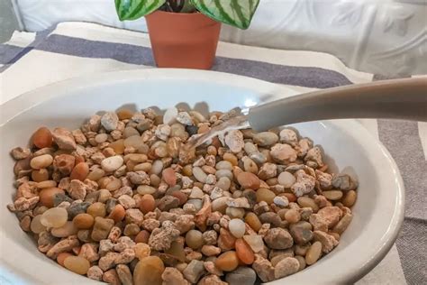 How to Make a Pebble Tray for Plants - The Leafy Little Home