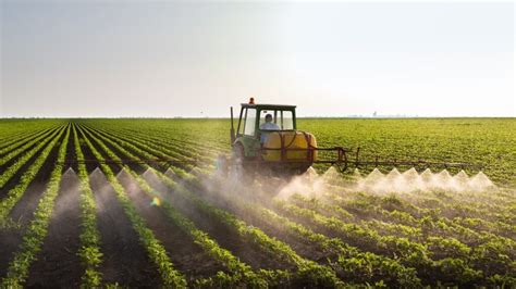 Fertilizer Seriously Damages Our Planet - Is This Plant-Based Version The Solution?