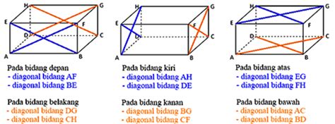 Kuboid Ada Berapa Sisi - Perhatikan Gambar Di Bawah Ini Berdasarkan Sel ...