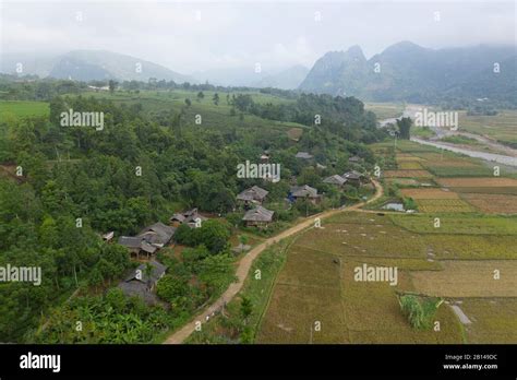 Rice harvest in Vietnam Stock Photo - Alamy