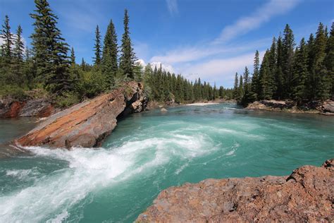 River stream between pine trees during daytime, canada HD wallpaper | Wallpaper Flare