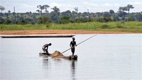 How Ebola Emerged Out of the Jungle - ABC News