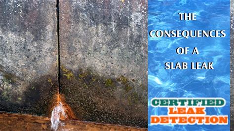 The Consequences of a Slab Leak - Certified Leak Detection of Orlando