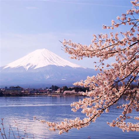 Fuji Kawaguchiko Onsen - Relax in Hot Spring Baths with Views of Mount Fuji