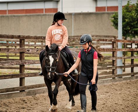 Equestrian Centre – Cherry Orchard Equine Centre