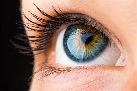 What your eye colour says about your health | The Independent | The Independent