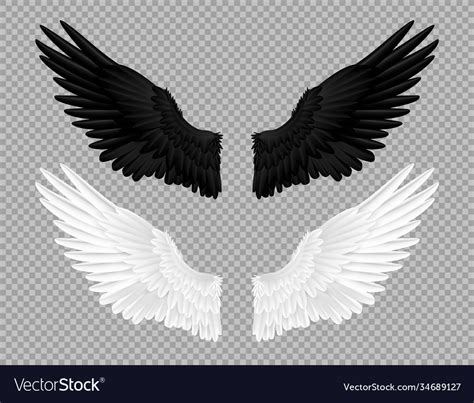 Black and white angel wings swans and crows Vector Image