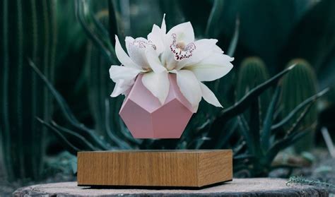 LYFE - The Levitating planter – Flyte | Planters, Levitation, Tillandsia