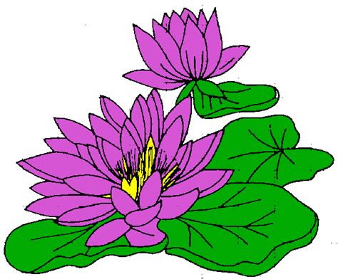 Free Water Lily Cliparts, Download Free Water Lily Cliparts png images, Free ClipArts on Clipart ...