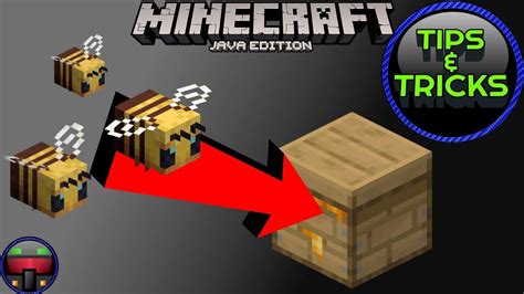 How To Get Bees Into Beehive Minecraft 2023 – Get Latest Games 2023 Update