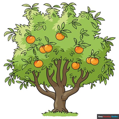 How to Draw a Peach Tree - Really Easy Drawing Tutorial