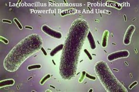 Lactobacillus Rhamnosus - Probiotics with Powerful Benefits And Uses