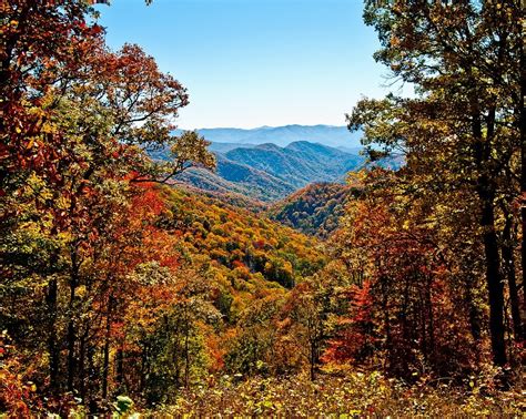 Great Smoky Mountains National Park: Appalachia in Autumn