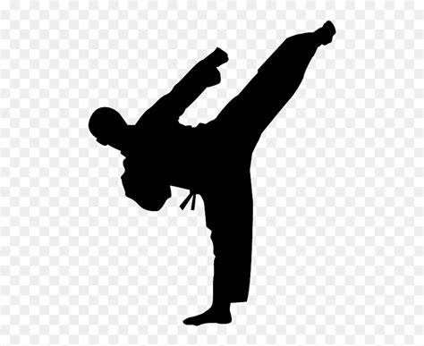 Karate Kick Png Photo - Karate Silhouette Png, Transparent Png - vhv