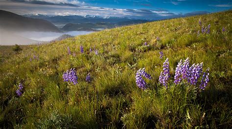 The Ranch at Rock Creek - Southwestern Montana Hotels - Philipsburg, United States - Forbes ...