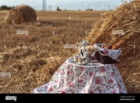 Summer picnic in the field in the village Stock Photo - Alamy