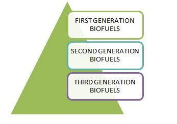 Biofuel: Types, Uses & Examples – StudiousGuy