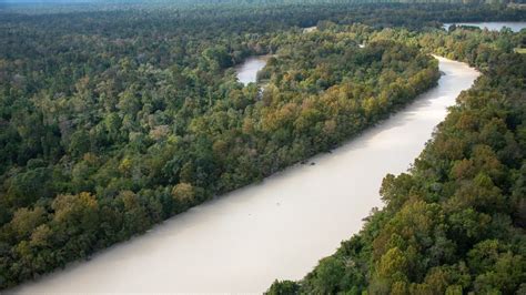 San Jacinto River turns milky white in Kingwood | FOX 26 Houston